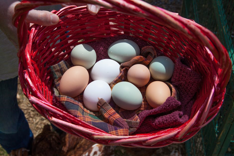 Diversification Strategy for Growth Investors: Balance Risk and Reward