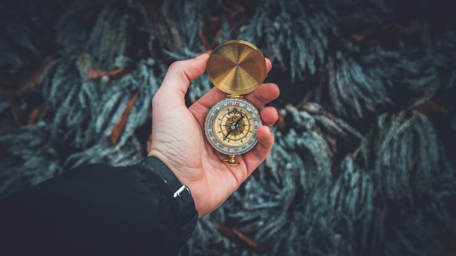 Style Rotation Strategy: How to Time Shifts Between Growth and Value