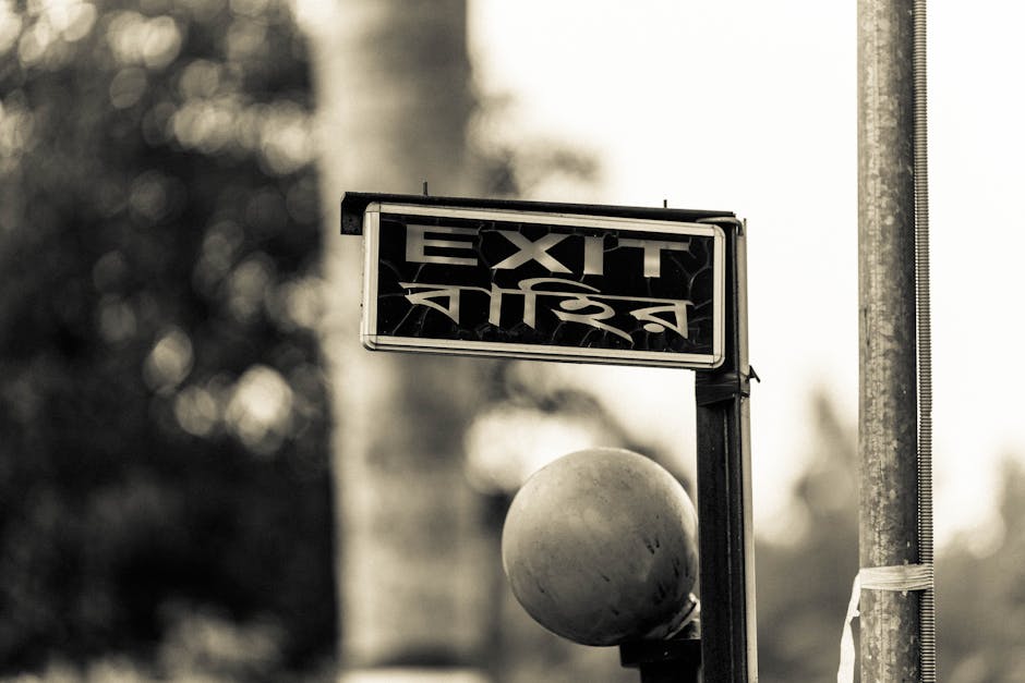 When to Sell Stocks: The Growth Investor's Complete Sell Guide