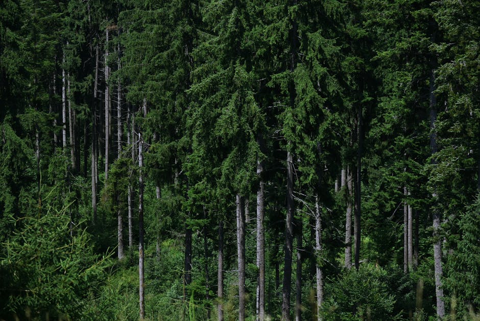 Carbon Capture Stocks: Investing in CCUS and Direct Air Capture Technology
