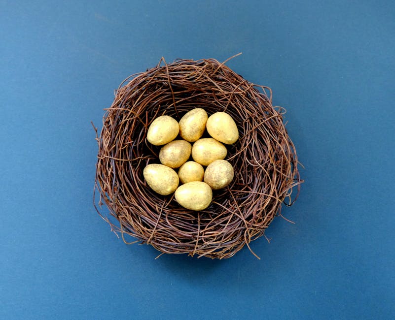 Best Growth ETFs for Your Roth IRA: Maximize Tax-Free Compounding