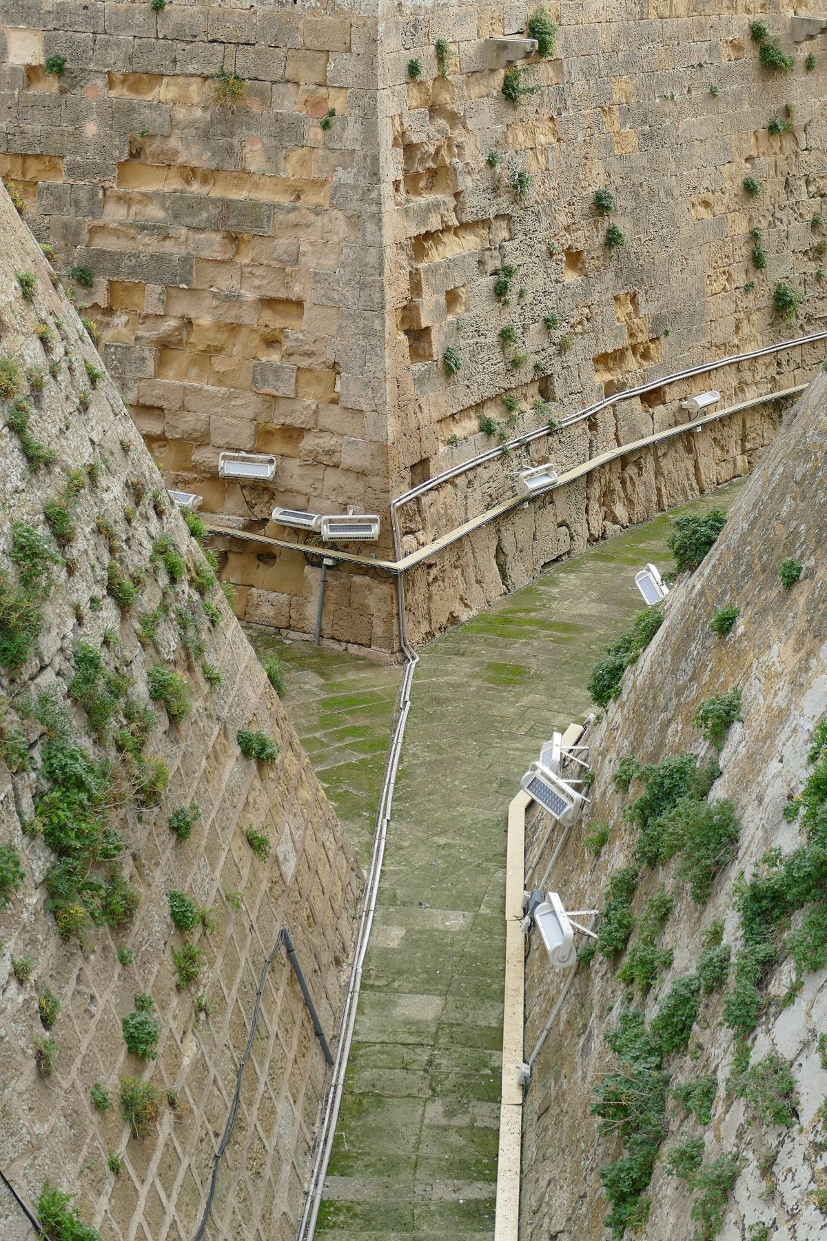competitive moat analysis